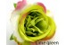 Silk artificial flower, "Rosette-1" (5 cm), Pack of 5